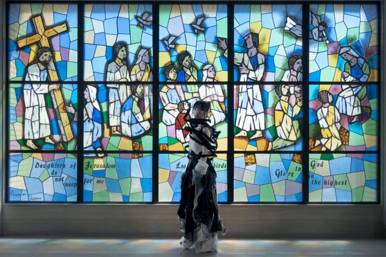 MAIN_INSAINT_trim3_s (1)